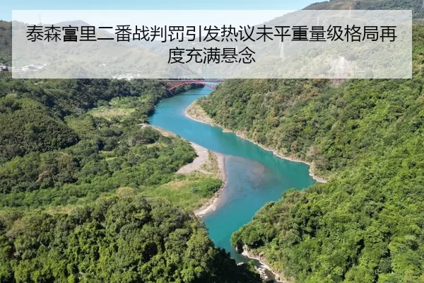 泰森富里二番战判罚引发热议未平重量级格局再度充满悬念