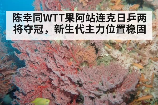 陈幸同WTT果阿站连克日乒两将夺冠，新生代主力位置稳固